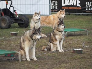 01 Heringsdorf Baltic Lights - Bernd Opel