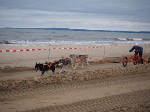 04 Heringsdorf Baltic Lights - Bernd Opel