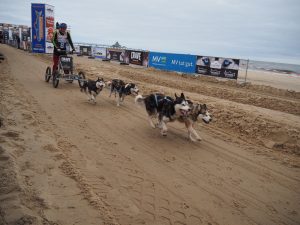 05 Heringsdorf Baltic Lights - Bernd Opel