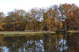 2-parkwanderung-branitz-p-fritsch