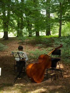 5-branitzer-park-bernd-opel