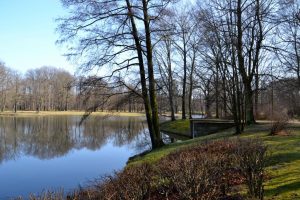 3-im-vorfrucc88hling-p-fritsch