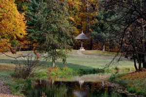 3-parkwanderung-branitz-p-fritsch