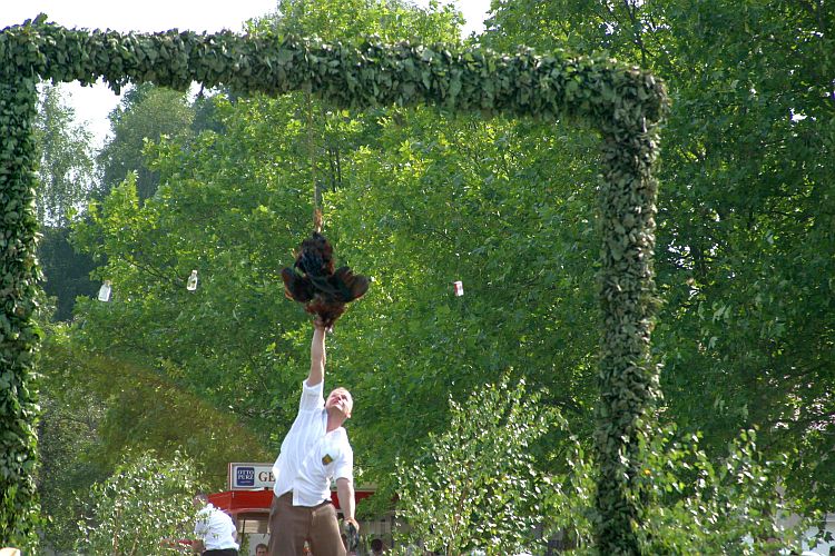 35-jahre-hahnrupfen-in-tauer-der-erntekoenig-k-f-muehler