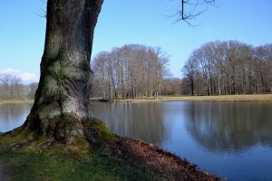 4-im-vorfrucc88hling-p-fritsch