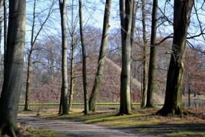 5-im-vorfrucc88hling-p-fritsch