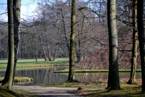 6-im-vorfrucc88hling-p-fritsch