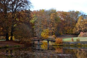6-parkwanderung-branitz-p-fritsch