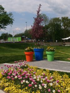 Landesgartenschau Sachsen in Torgau 1 - H. Müller