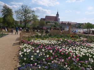Landesgartenschau Sachsen in Torgau 5 - H. Müller