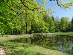 Pleinair der Peitzer Landmaler in Reuthen 1 - Hans Müller