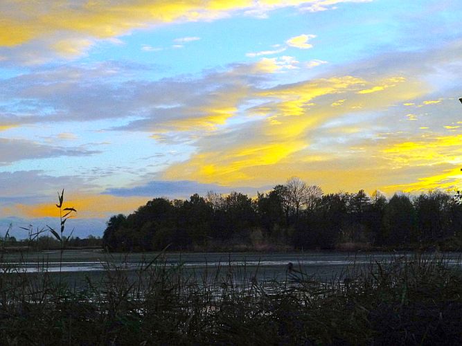 abendstimmung-am-teich-1-hans-mueller