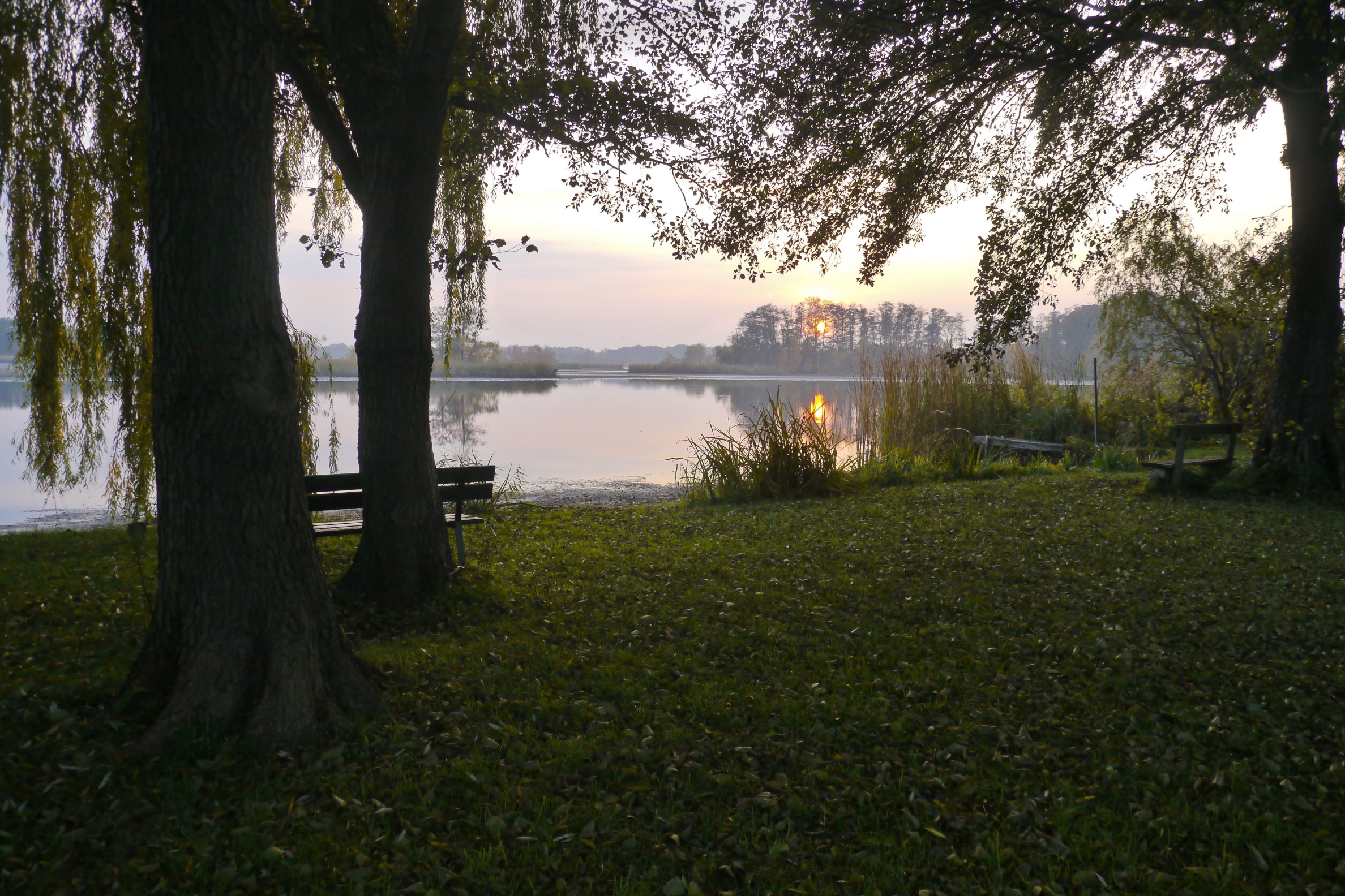 abendstimmung-am-teich-h-mueller