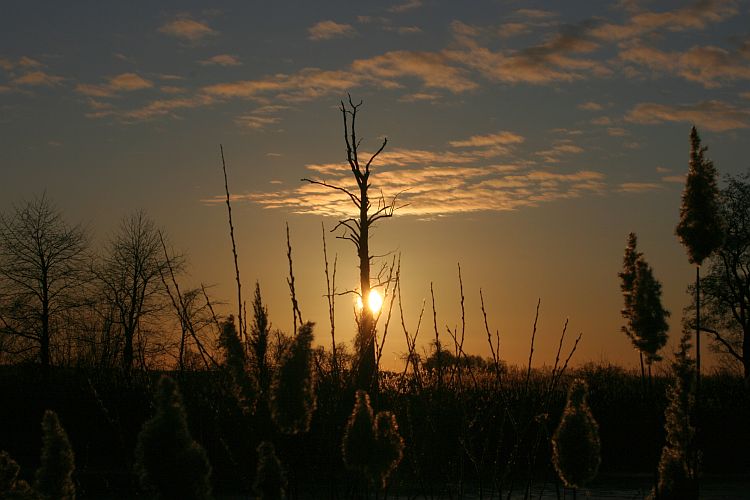 abendstimmung-am-teufelsteich-von-hk-moeller-neu