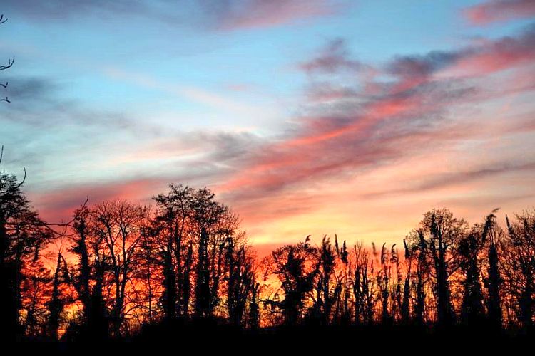 abendstimmung-in-derteichlandschaft-p-fritsch