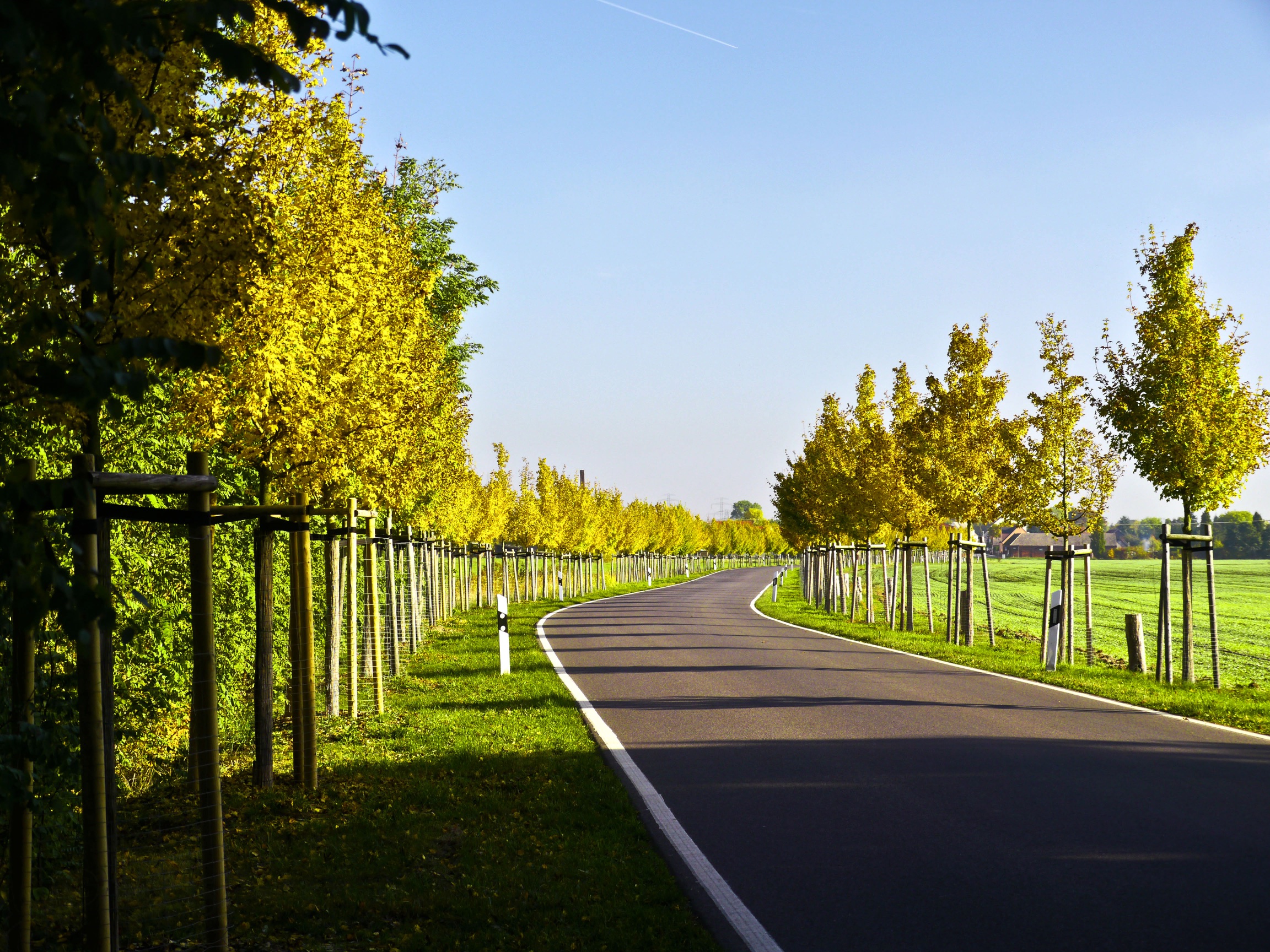 allee-nach-turnow-h-mueller