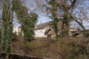 altes-kino-in-peitz-8-2022-h-mucc88ller