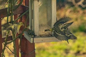 am-buffet-b-mocc88cker