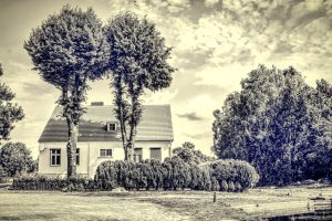 am-hacc88lterteich-peitz-anderer-blick-j-ibrahim