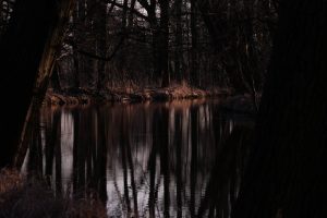 am-hammergraben1-n-kubicke