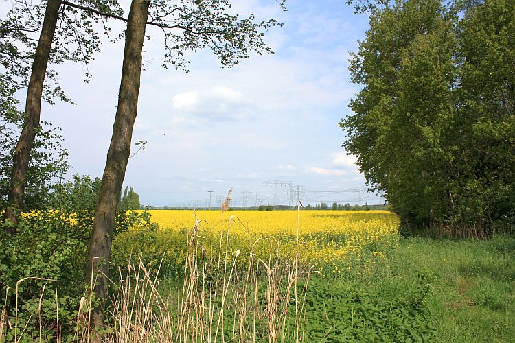am-radweg-jaenschwalde-peitz-r-karge_