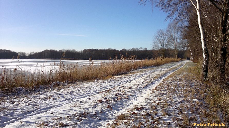 am-streckteich-p-fritsch