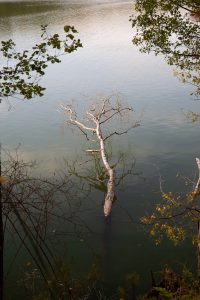 am-wirchensee-im-schlaubetal-1-b-mocc88cker