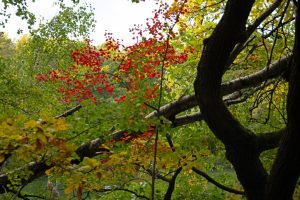 am-wirchensee-im-schlaubetal-2-b-mocc88cker