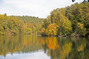 am-wirchensee-im-schlaubetal-3-b-mocc88cker