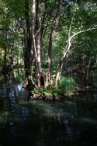 am-wirchensee-im-schlaubetal-4-b-mocc88cker