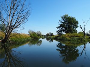 auf der Oder -2 - Bernd Opel