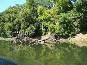 auf der Oder - Bernd Opel