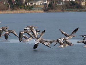 aufbruch-h-mucc88ller