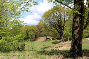 bad-muskau-blick-vom-pucc88cklerstein-zur-prinzenbrucc88cke-k-f-mucc88hler