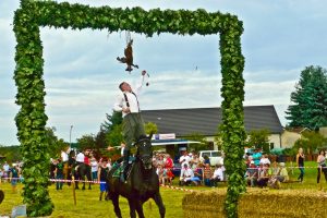 beim-hahnenrupfen-h-mucc88ller