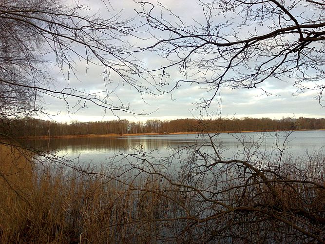 blick-ueber-den-streckteich-p-fritsch