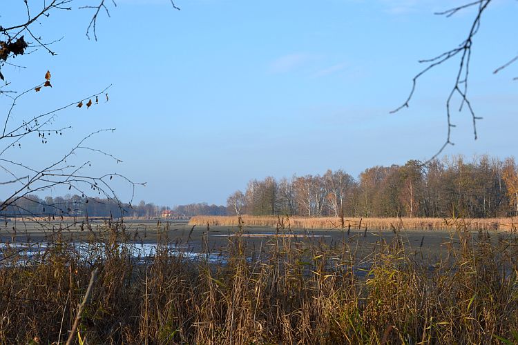 blick-zum-eisenhuetten-und-fischereimuseum-peitz-p-fritsch