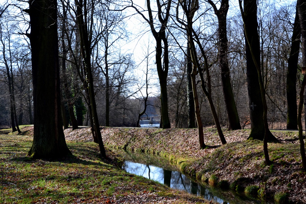 blick-zur-spree-in-branitz-p-fritsch