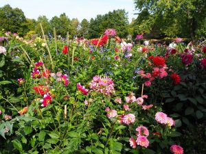 blucc88tenpracht-5-bernd-opel