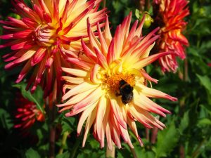 blucc88tenpracht-9-bernd-opel