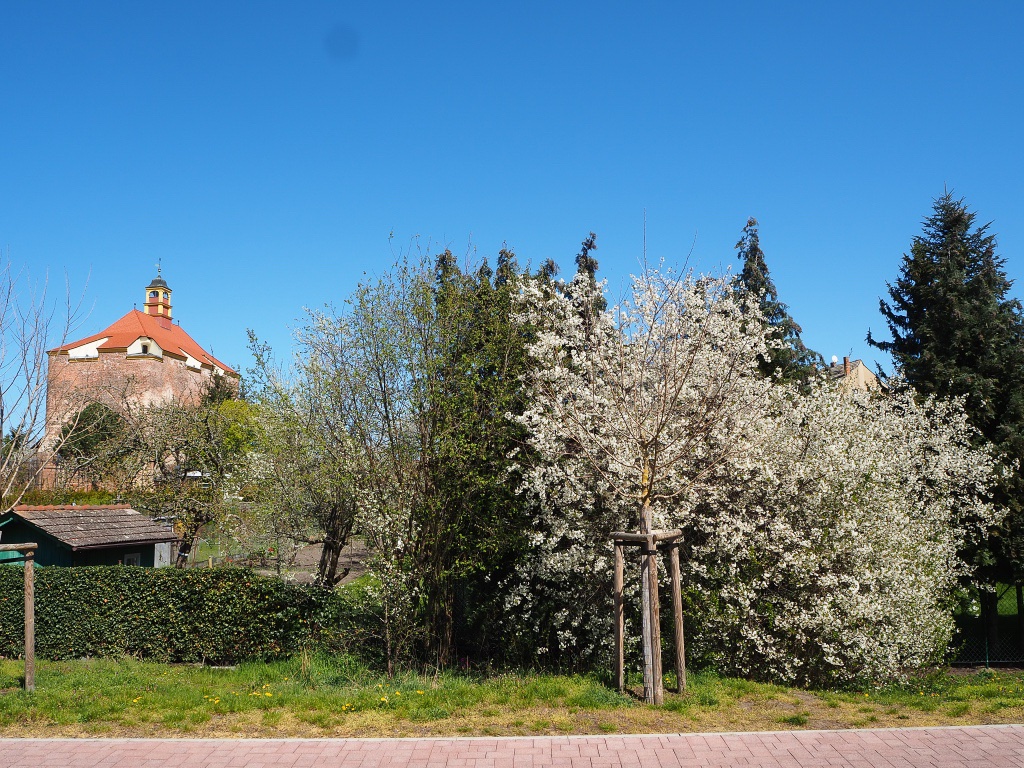 blucc88tenpracht-mit-festungsblick-bernd-opel