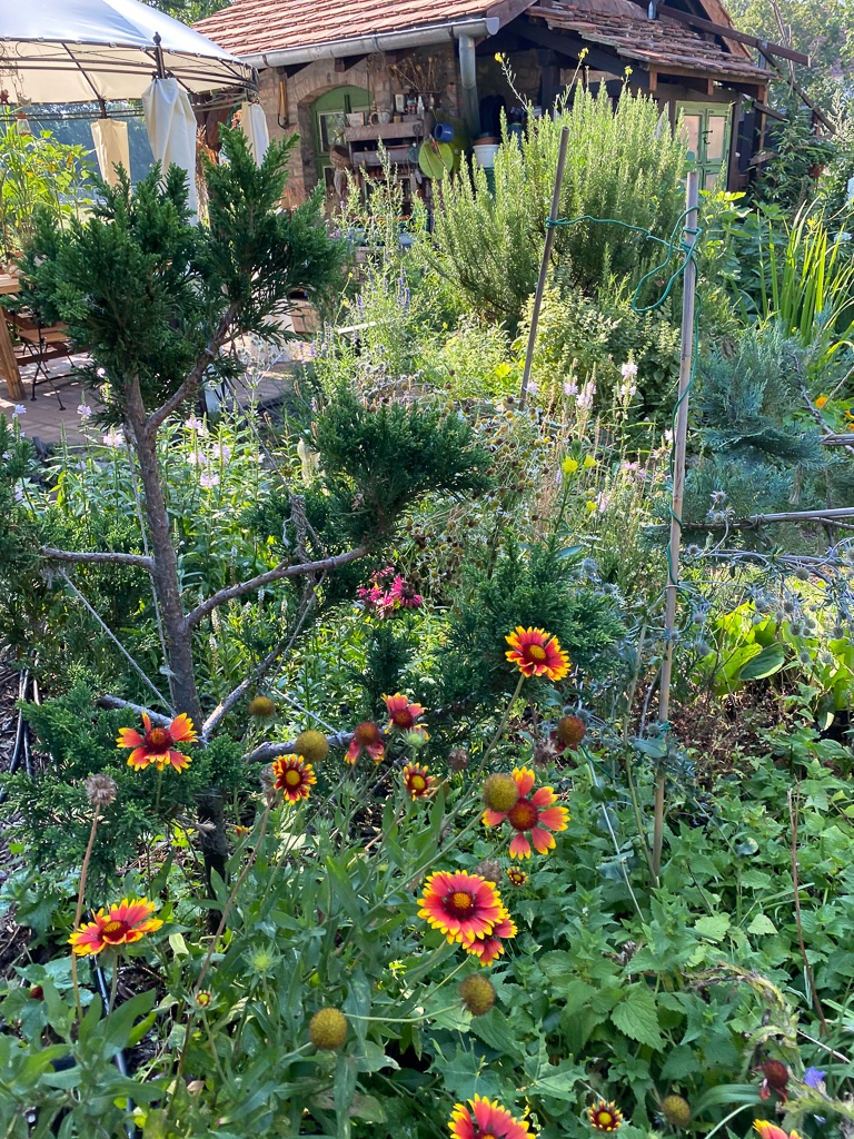 blumen-im-garten-7-bernd-opel
