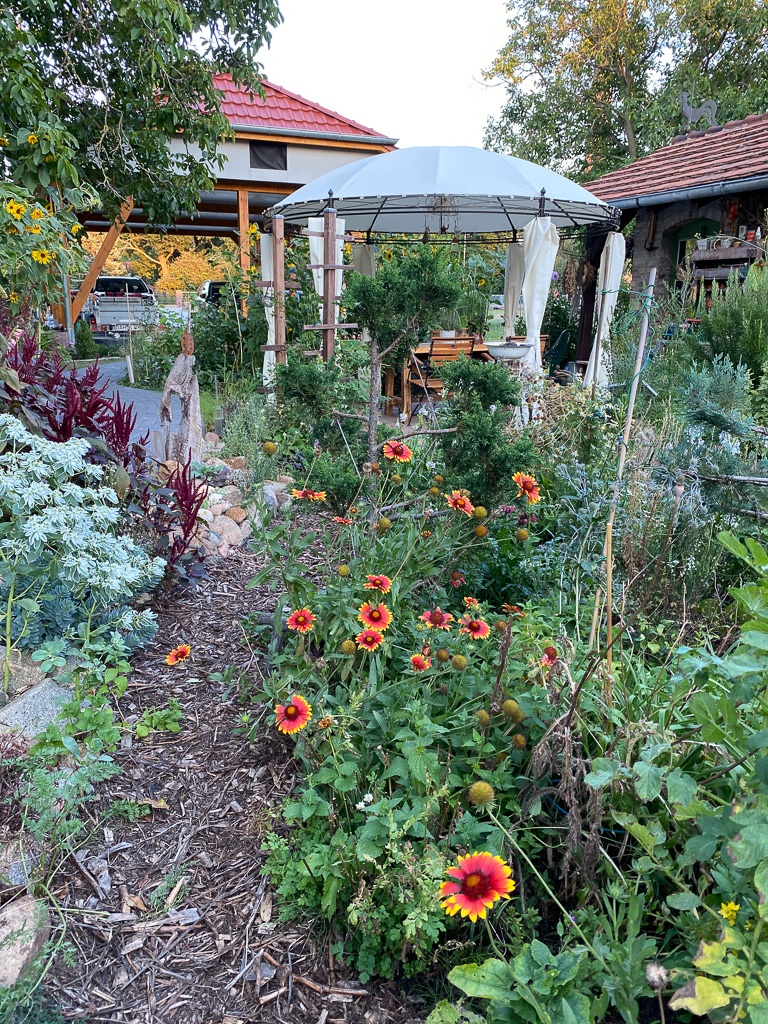 blumen-im-garten-8-bernd-opel
