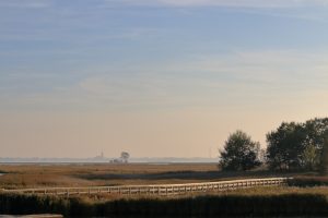 boddenlandschaft-im-herbst-bei-zingst-2-k-f-mucc88hler