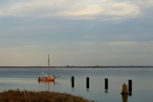 boddenlandschaft-im-herbst-bei-zingst-3-k-f-mucc88hler