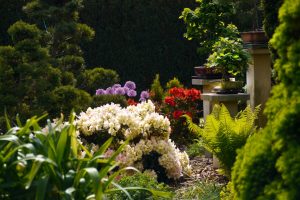 bonsaigarten-h-mueller