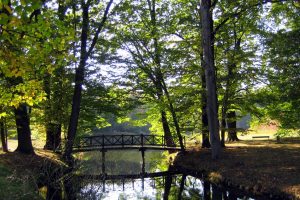 branitz-spreewaldanmutung-im-park-k-f-mucc88hler