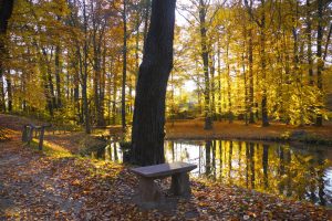 branitzer-park-10-h-mucc88ller