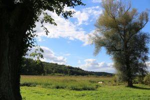 brody-einstmals-gestaltete-natur-k-f-mucc88hler