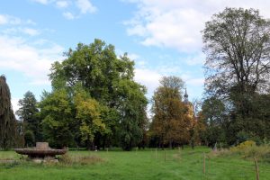 brody-warten-auf-die-zukunft-k-f-mucc88hler